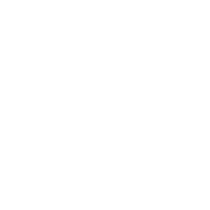 Torero Risk Advisors